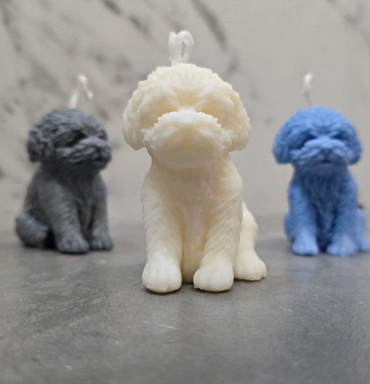 Perros pequeños
