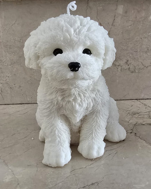 Perro XL