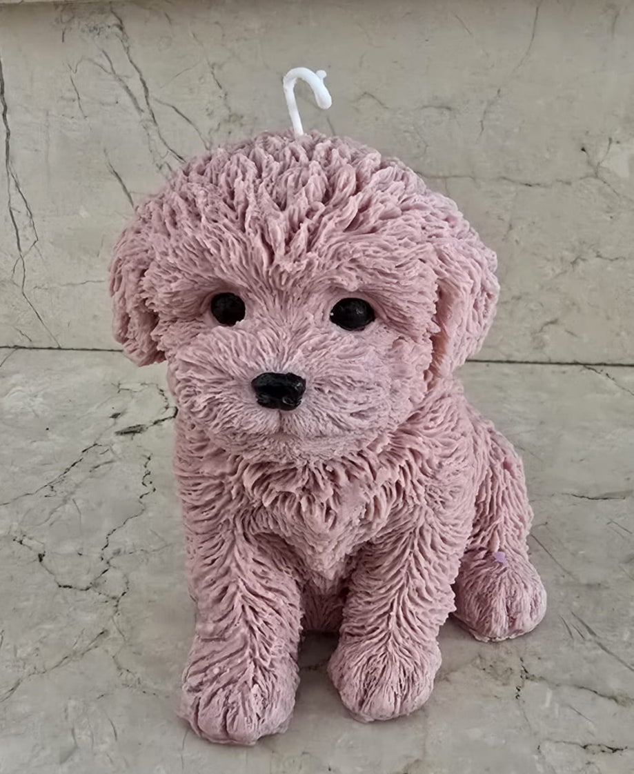 Perro XL
