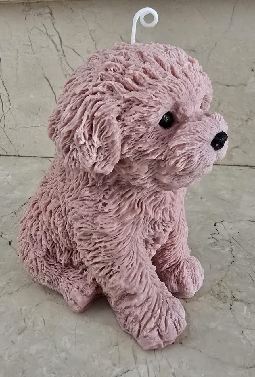 Perro XL