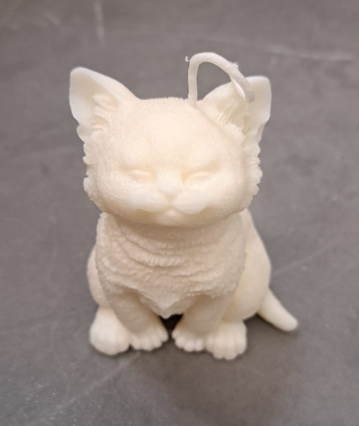 Gatos