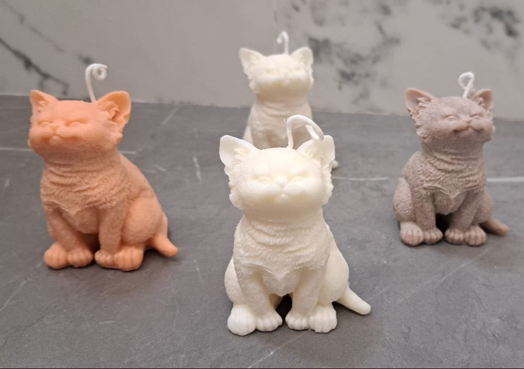 Gatos