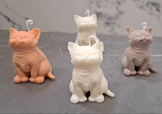 Gatos