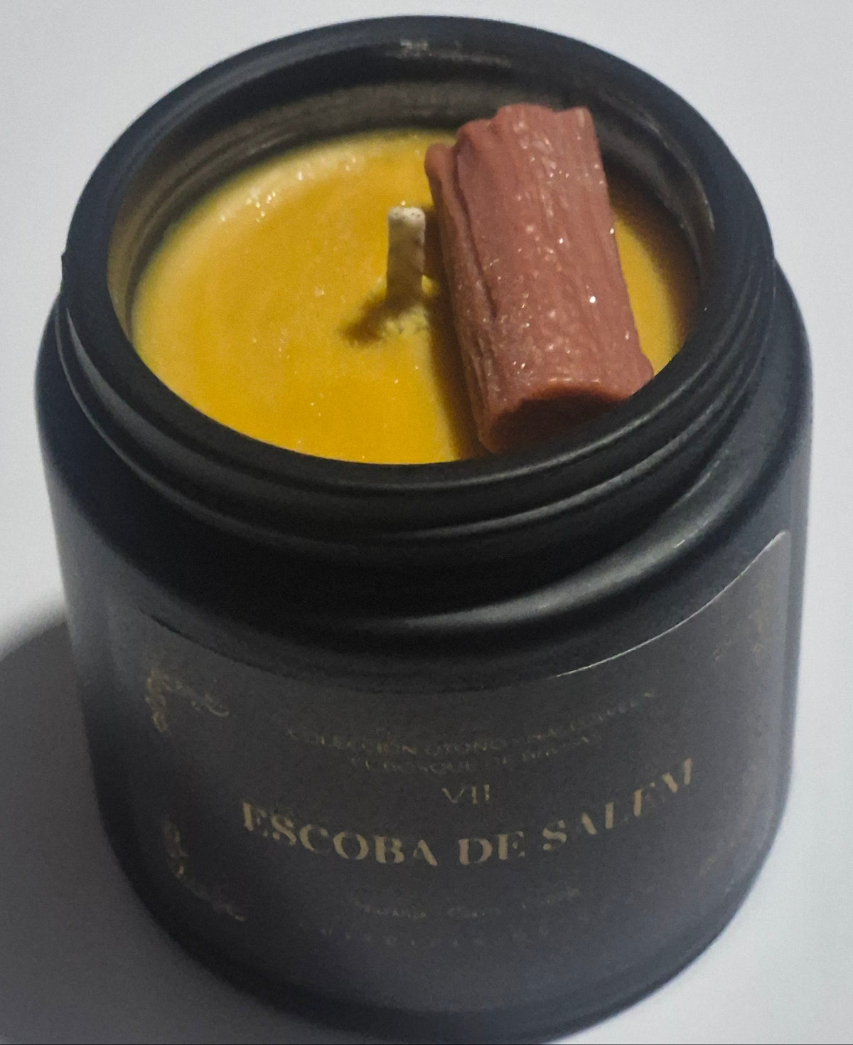 ✨ EDICIÓN LIMITADA: COLECCIÓN EL BOSQUE DE LAS BRUJAS ✨