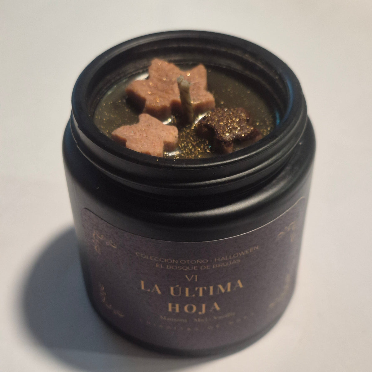 ✨ EDICIÓN LIMITADA: COLECCIÓN EL BOSQUE DE LAS BRUJAS ✨