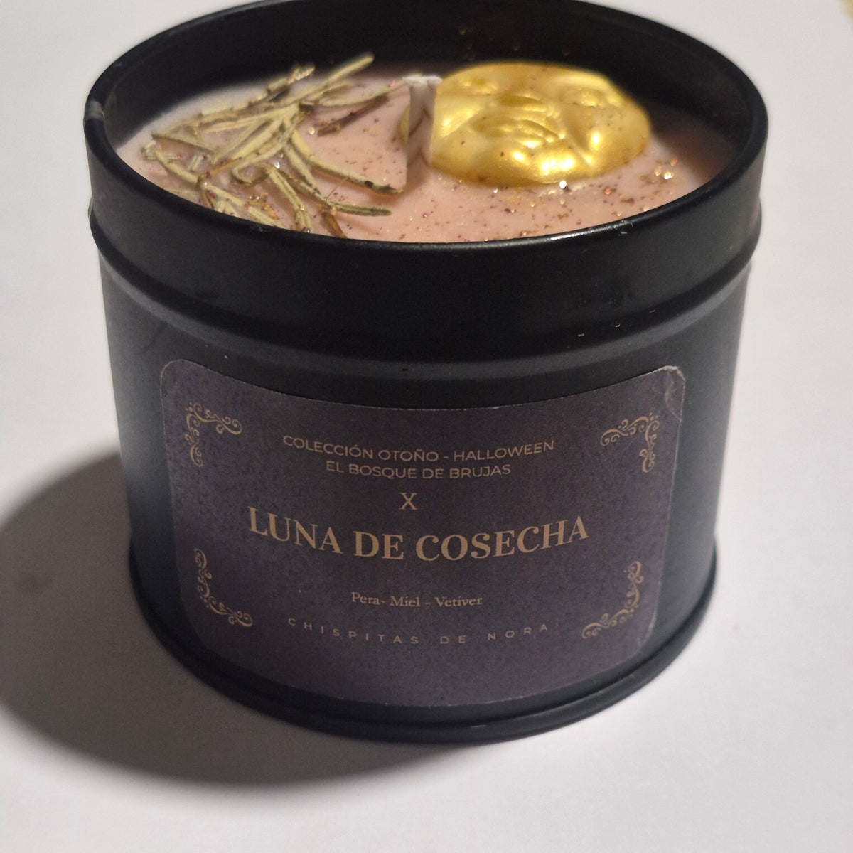 ✨ EDICIÓN LIMITADA: COLECCIÓN EL BOSQUE DE LAS BRUJAS ✨